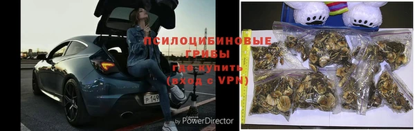 кристаллы Дмитриев