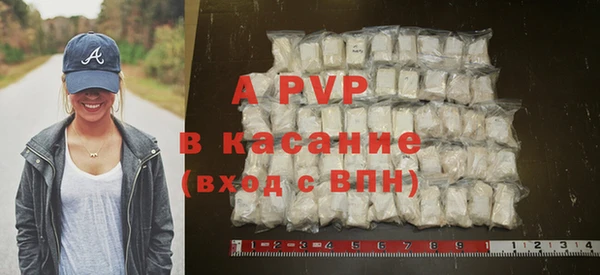 ECSTASY Гусь-Хрустальный