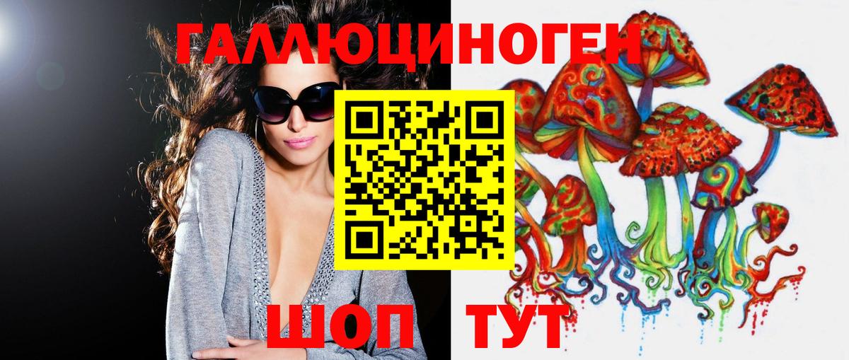 Псилоцибиновые грибы Cubensis  Вход с VPN  Сибай 